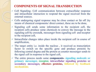 Cellular Communication: Signal Transduction Pathway | PDF