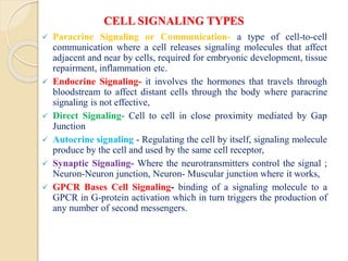 Cellular Communication: Signal Transduction Pathway | PDF