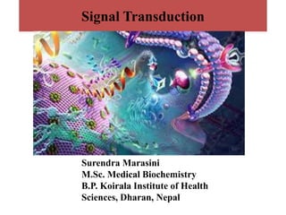 Signal Transduction
Surendra Marasini
M.Sc. Medical Biochemistry
B.P. Koirala Institute of Health
Sciences, Dharan, Nepal
 