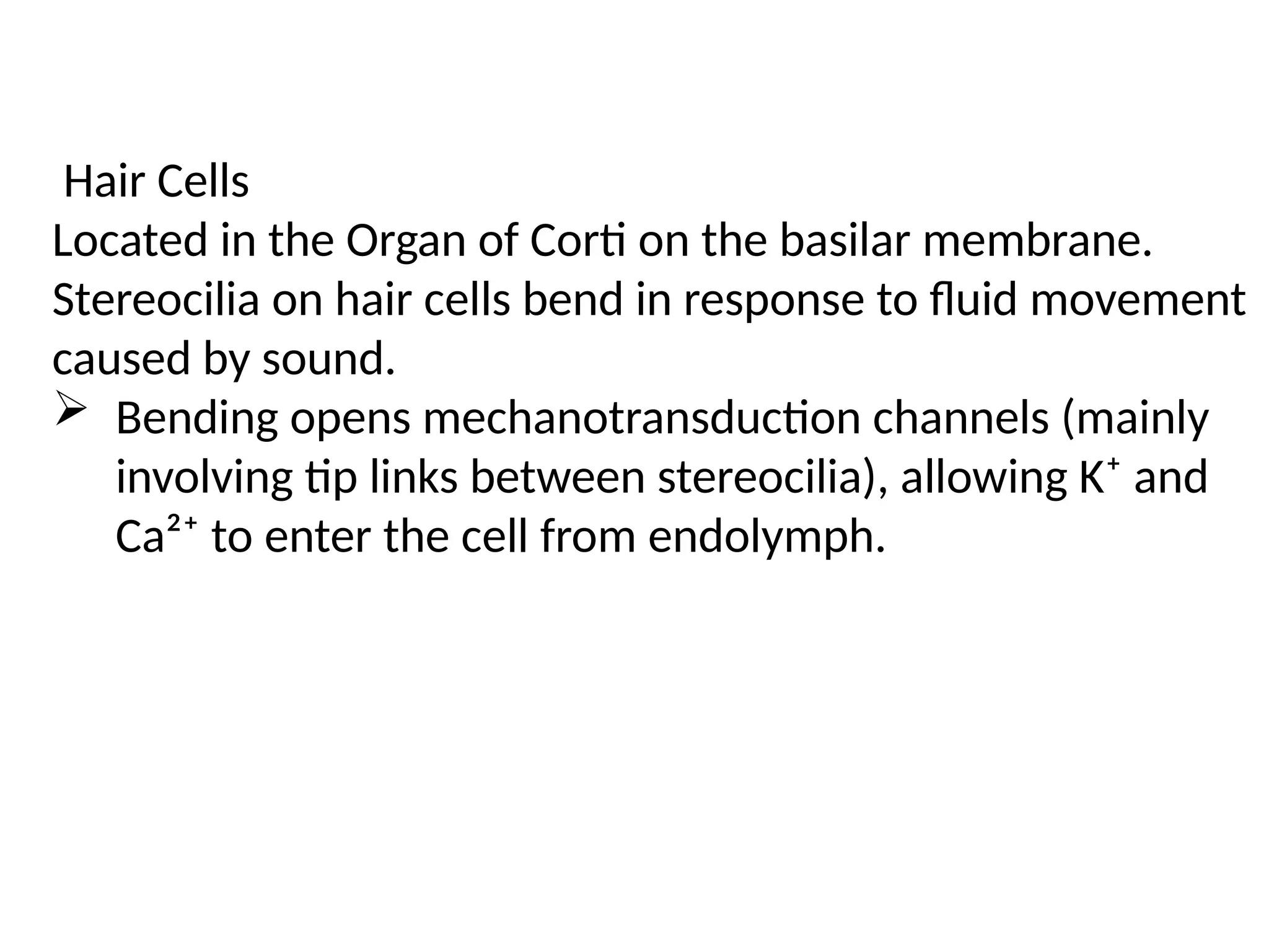Hair Cells
Located in the Organ of Corti on the basilar membrane.
Stereocilia on hair cells bend in response to fluid movement
caused by sound.
 Bending opens mechanotransduction channels (mainly
involving tip links between stereocilia), allowing K⁺ and
Ca²⁺ to enter the cell from endolymph.
 