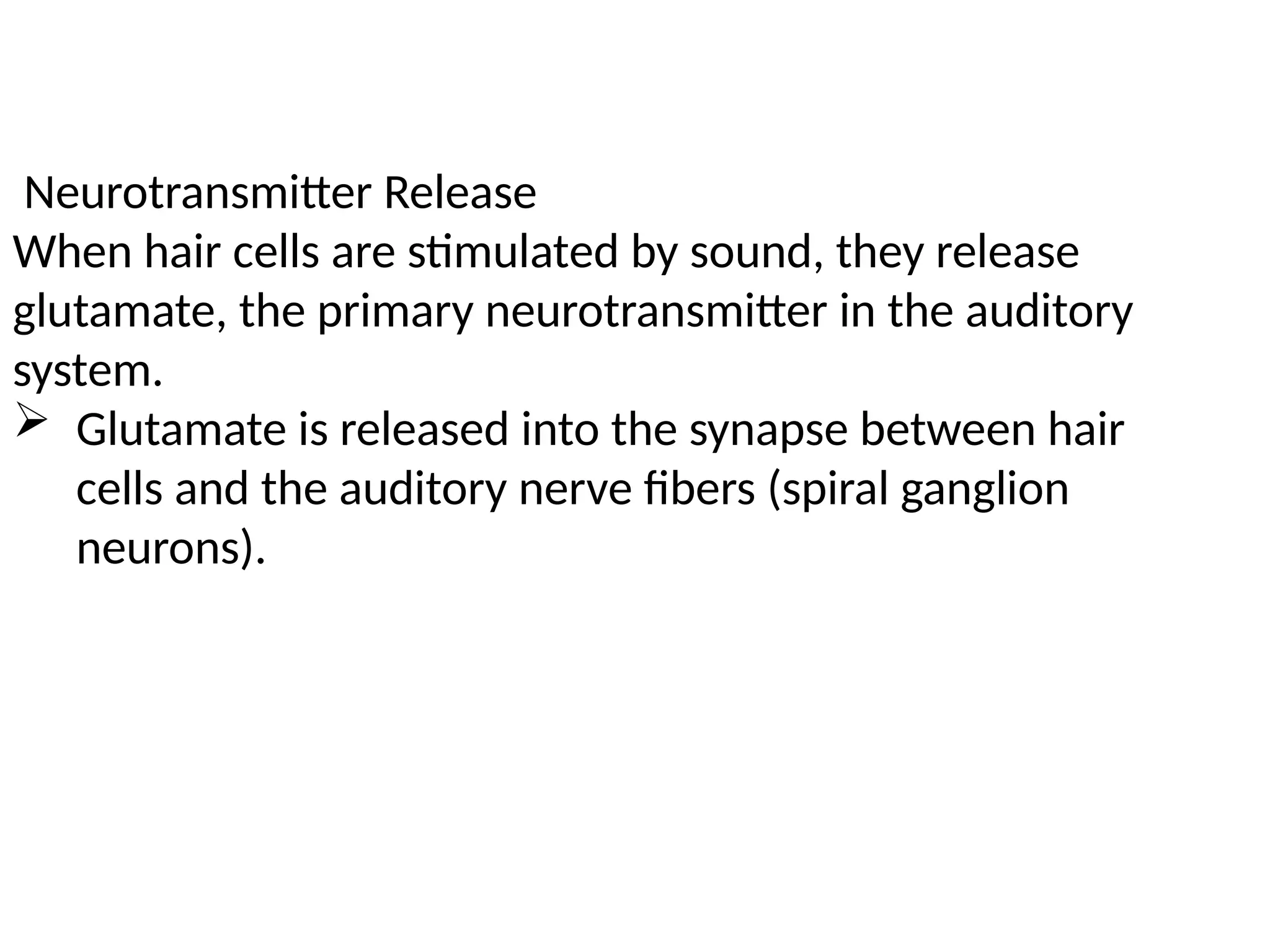 Neurotransmitter Release
When hair cells are stimulated by sound, they release
glutamate, the primary neurotransmitter in the auditory
system.
 Glutamate is released into the synapse between hair
cells and the auditory nerve fibers (spiral ganglion
neurons).
 
