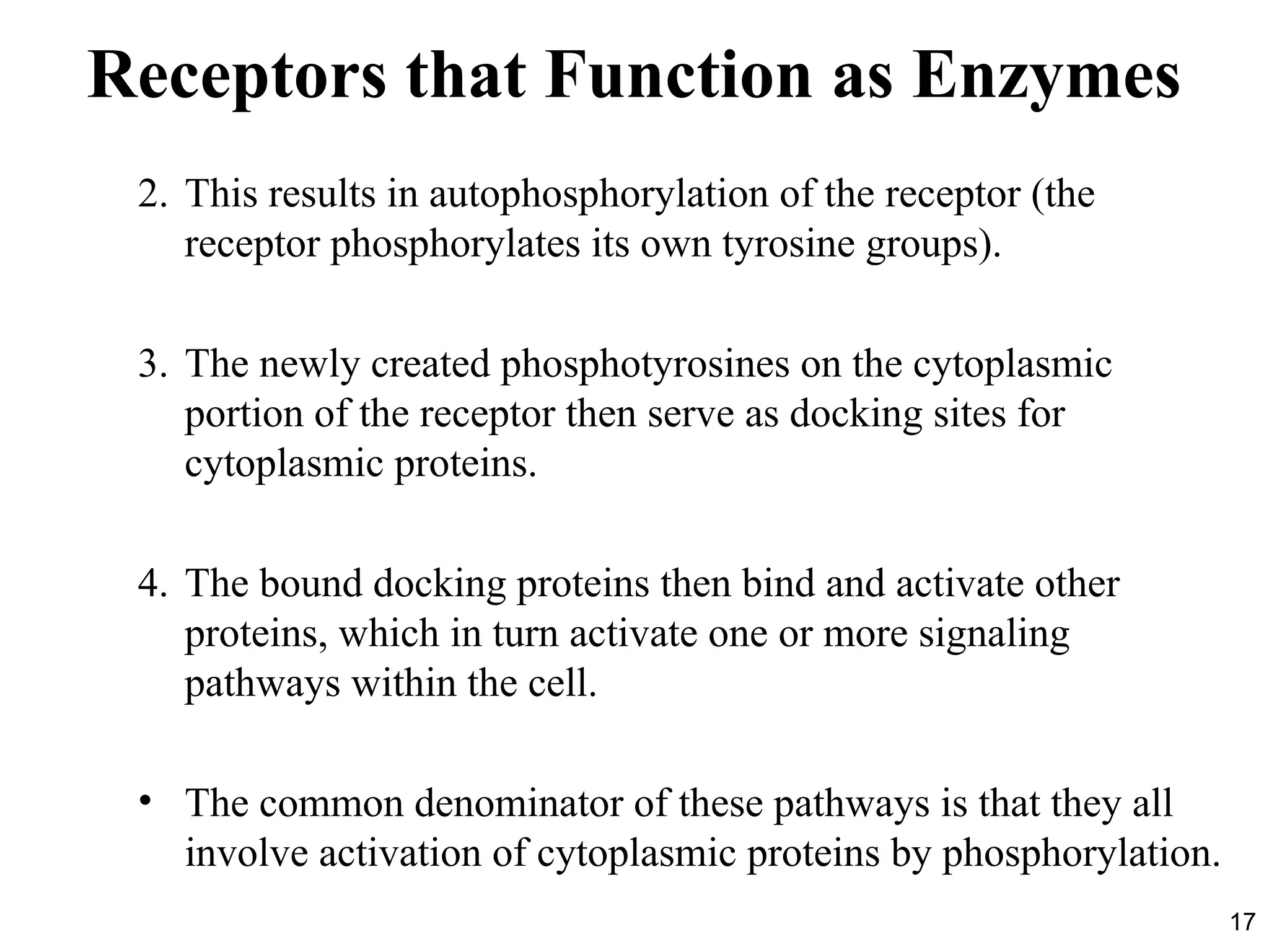 17
2. This results in autophosphorylation of the receptor (the
receptor phosphorylates its own tyrosine groups).
3. The newly created phosphotyrosines on the cytoplasmic
portion of the receptor then serve as docking sites for
cytoplasmic proteins.
4. The bound docking proteins then bind and activate other
proteins, which in turn activate one or more signaling
pathways within the cell.
• The common denominator of these pathways is that they all
involve activation of cytoplasmic proteins by phosphorylation.
Receptors that Function as Enzymes
 