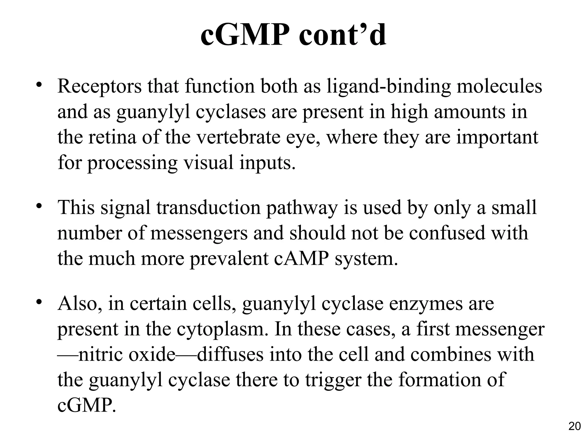 20
cGMP cont’d
• Receptors that function both as ligand-binding molecules
and as guanylyl cyclases are present in high amounts in
the retina of the vertebrate eye, where they are important
for processing visual inputs.
• This signal transduction pathway is used by only a small
number of messengers and should not be confused with
the much more prevalent cAMP system.
• Also, in certain cells, guanylyl cyclase enzymes are
present in the cytoplasm. In these cases, a first messenger
—nitric oxide—diffuses into the cell and combines with
the guanylyl cyclase there to trigger the formation of
cGMP.
 