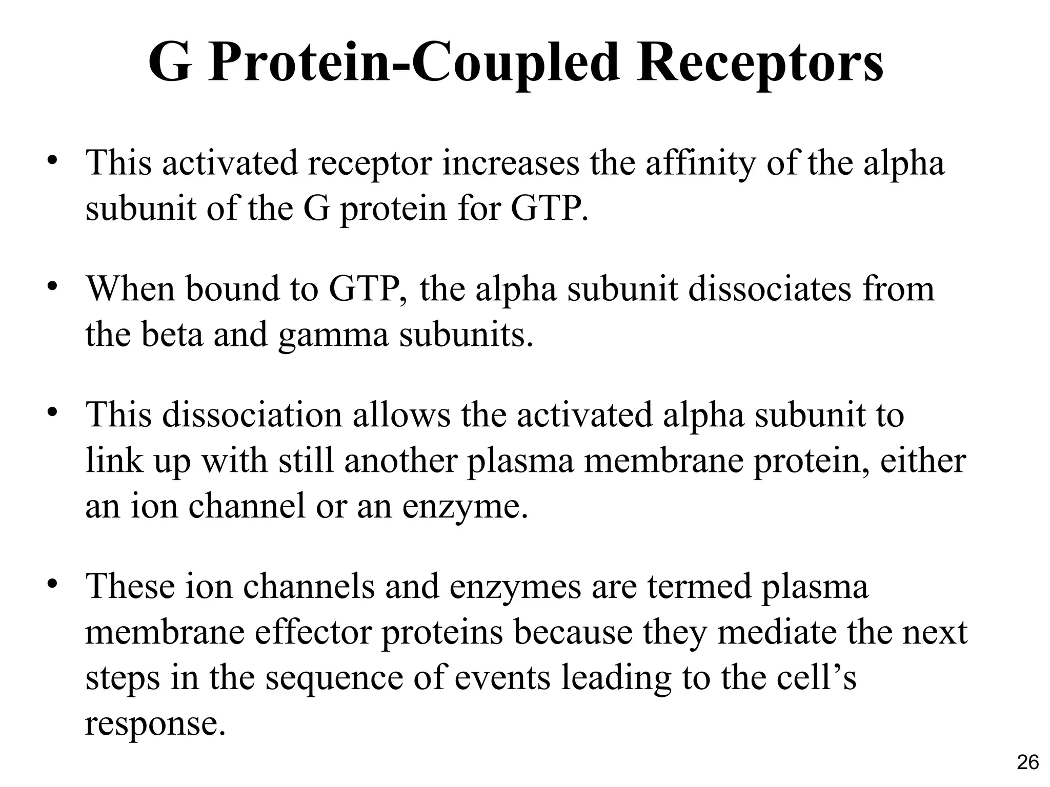 26
G Protein-Coupled Receptors
• This activated receptor increases the affinity of the alpha
subunit of the G protein for GTP.
• When bound to GTP, the alpha subunit dissociates from
the beta and gamma subunits.
• This dissociation allows the activated alpha subunit to
link up with still another plasma membrane protein, either
an ion channel or an enzyme.
• These ion channels and enzymes are termed plasma
membrane effector proteins because they mediate the next
steps in the sequence of events leading to the cell’s
response.
 