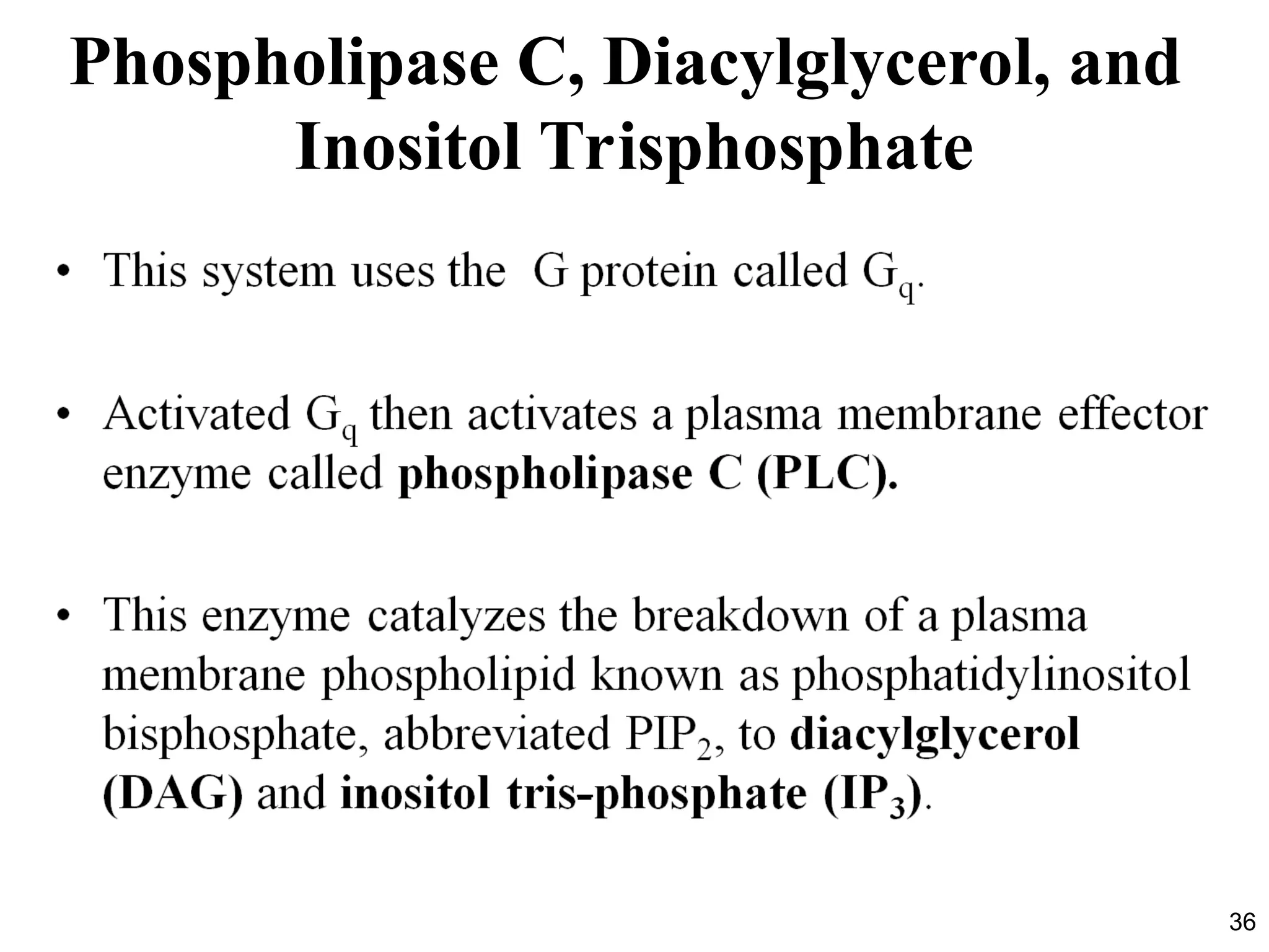 36
Phospholipase C, Diacylglycerol, and
Inositol Trisphosphate
 