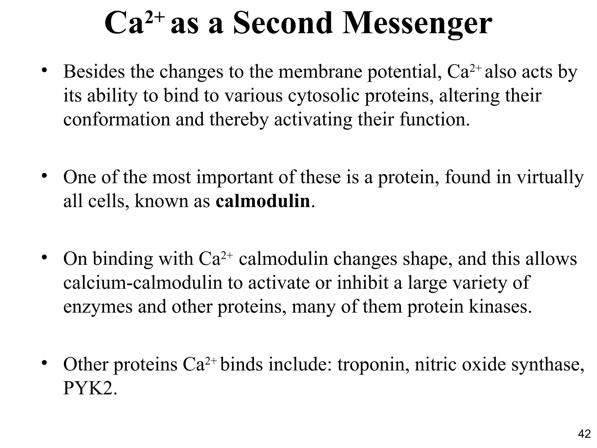 42
Ca2+
as a Second Messenger
• Besides the changes to the membrane potential, Ca2+
also acts by
its ability to bind to various cytosolic proteins, altering their
conformation and thereby activating their function.
• One of the most important of these is a protein, found in virtually
all cells, known as calmodulin.
• On binding with Ca2+
calmodulin changes shape, and this allows
calcium-calmodulin to activate or inhibit a large variety of
enzymes and other proteins, many of them protein kinases.
• Other proteins Ca2+
binds include: troponin, nitric oxide synthase,
PYK2.
 