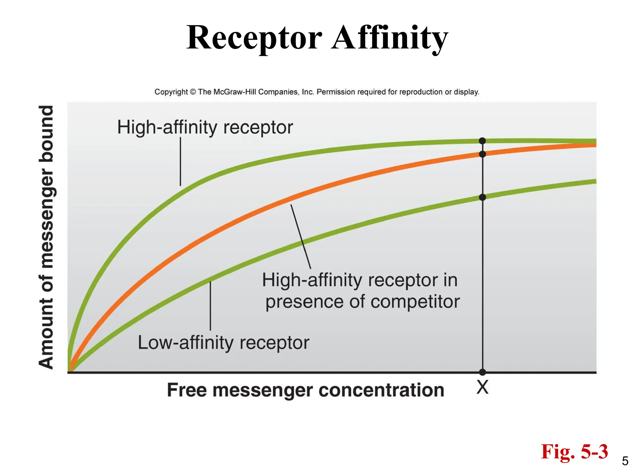 5
Receptor Affinity
Fig. 5-3
 