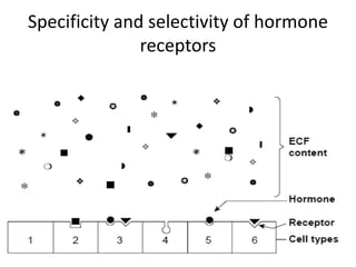 Specificity and selectivity of hormone
receptors
 