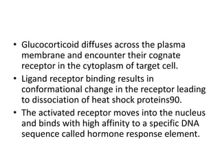 • Glucocorticoid diffuses across the plasma
membrane and encounter their cognate
receptor in the cytoplasm of target cell.
• Ligand receptor binding results in
conformational change in the receptor leading
to dissociation of heat shock proteins90.
• The activated receptor moves into the nucleus
and binds with high affinity to a specific DNA
sequence called hormone response element.
 