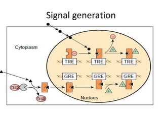 Signal generation
 