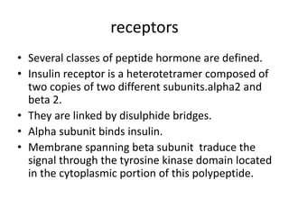 receptors
• Several classes of peptide hormone are defined.
• Insulin receptor is a heterotetramer composed of
two copies of two different subunits.alpha2 and
beta 2.
• They are linked by disulphide bridges.
• Alpha subunit binds insulin.
• Membrane spanning beta subunit traduce the
signal through the tyrosine kinase domain located
in the cytoplasmic portion of this polypeptide.
 