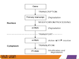 Signal transduction and hormone receptor complex | PPTX