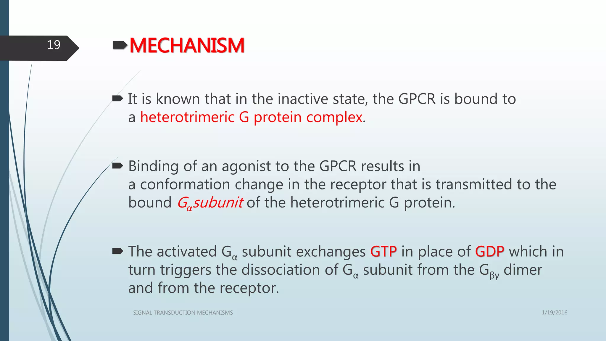MECHANISM
 It is known that in the inactive state, the GPCR is bound to
a heterotrimeric G protein complex.
 Binding of an agonist to the GPCR results in
a conformation change in the receptor that is transmitted to the
bound Gαsubunit of the heterotrimeric G protein.
 The activated Gα subunit exchanges GTP in place of GDP which in
turn triggers the dissociation of Gα subunit from the Gβγ dimer
and from the receptor.
1/19/2016SIGNAL TRANSDUCTION MECHANISMS
19
 