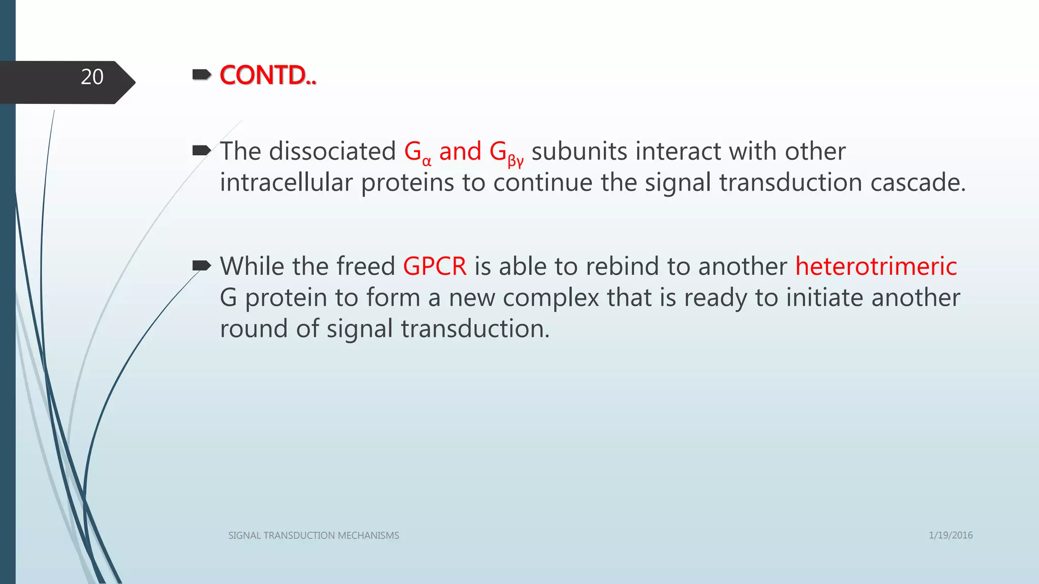  CONTD..
 The dissociated Gα and Gβγ subunits interact with other
intracellular proteins to continue the signal transduction cascade.
 While the freed GPCR is able to rebind to another heterotrimeric
G protein to form a new complex that is ready to initiate another
round of signal transduction.
1/19/2016SIGNAL TRANSDUCTION MECHANISMS
20
 