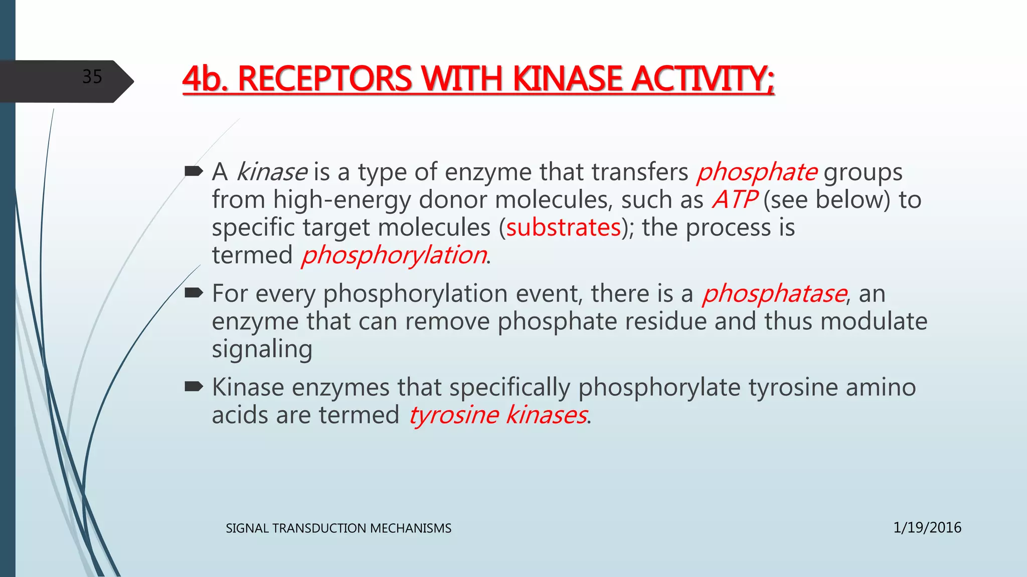 4b. RECEPTORS WITH KINASE ACTIVITY;
 A kinase is a type of enzyme that transfers phosphate groups
from high-energy donor molecules, such as ATP (see below) to
specific target molecules (substrates); the process is
termed phosphorylation.
 For every phosphorylation event, there is a phosphatase, an
enzyme that can remove phosphate residue and thus modulate
signaling
 Kinase enzymes that specifically phosphorylate tyrosine amino
acids are termed tyrosine kinases.
1/19/2016SIGNAL TRANSDUCTION MECHANISMS
35
 