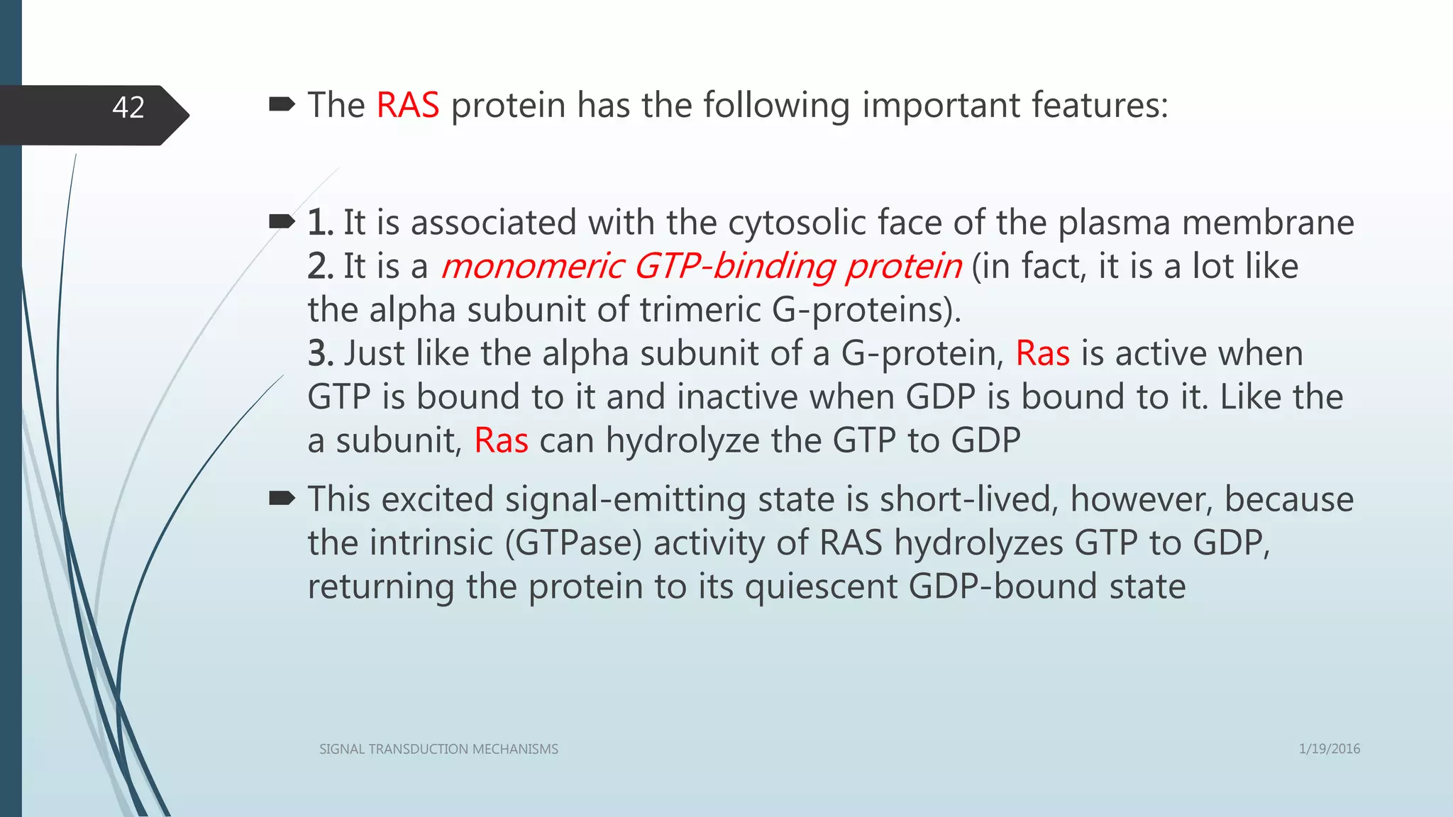  The RAS protein has the following important features:
 1. It is associated with the cytosolic face of the plasma membrane
2. It is a monomeric GTP-binding protein (in fact, it is a lot like
the alpha subunit of trimeric G-proteins).
3. Just like the alpha subunit of a G-protein, Ras is active when
GTP is bound to it and inactive when GDP is bound to it. Like the
a subunit, Ras can hydrolyze the GTP to GDP
 This excited signal-emitting state is short-lived, however, because
the intrinsic (GTPase) activity of RAS hydrolyzes GTP to GDP,
returning the protein to its quiescent GDP-bound state
1/19/2016SIGNAL TRANSDUCTION MECHANISMS
42
 