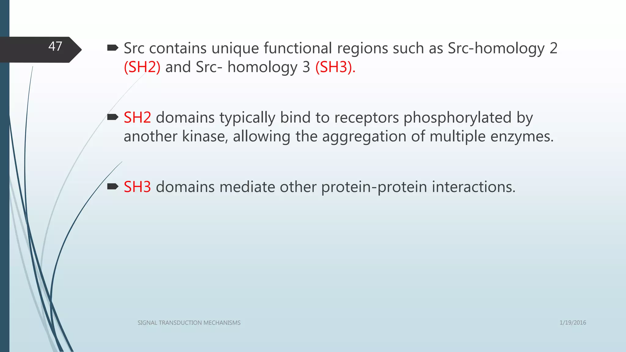  Src contains unique functional regions such as Src-homology 2
(SH2) and Src- homology 3 (SH3).
 SH2 domains typically bind to receptors phosphorylated by
another kinase, allowing the aggregation of multiple enzymes.
 SH3 domains mediate other protein-protein interactions.
1/19/2016SIGNAL TRANSDUCTION MECHANISMS
47
 