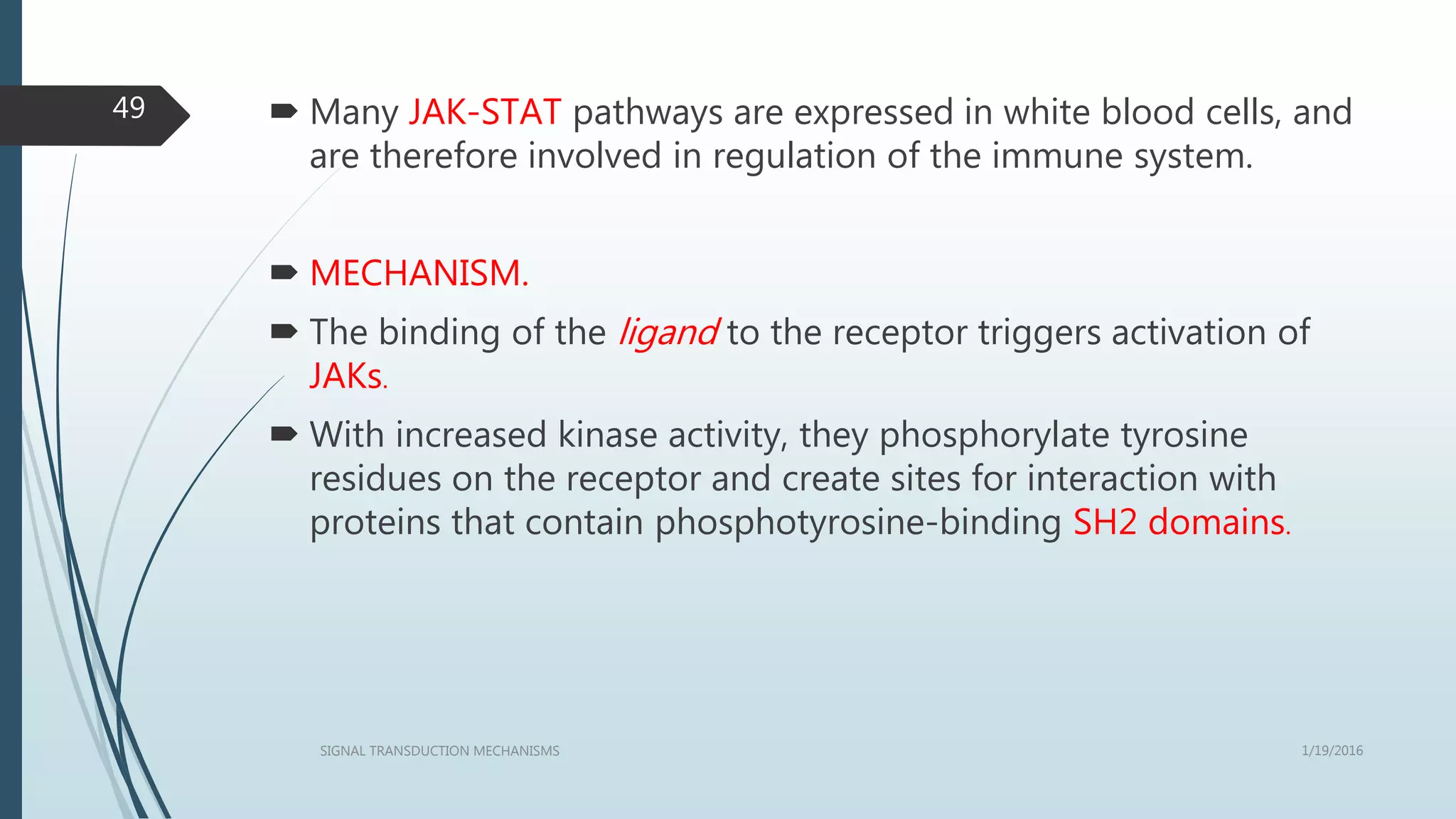  Many JAK-STAT pathways are expressed in white blood cells, and
are therefore involved in regulation of the immune system.
 MECHANISM.
 The binding of the ligand to the receptor triggers activation of
JAKs.
 With increased kinase activity, they phosphorylate tyrosine
residues on the receptor and create sites for interaction with
proteins that contain phosphotyrosine-binding SH2 domains.
1/19/2016SIGNAL TRANSDUCTION MECHANISMS
49
 