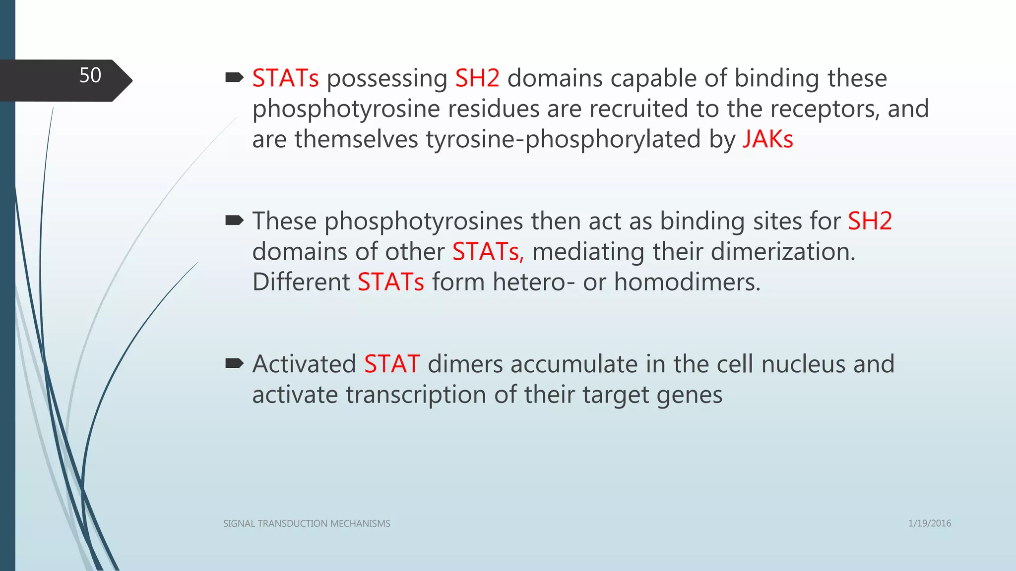  STATs possessing SH2 domains capable of binding these
phosphotyrosine residues are recruited to the receptors, and
are themselves tyrosine-phosphorylated by JAKs
 These phosphotyrosines then act as binding sites for SH2
domains of other STATs, mediating their dimerization.
Different STATs form hetero- or homodimers.
 Activated STAT dimers accumulate in the cell nucleus and
activate transcription of their target genes
1/19/2016SIGNAL TRANSDUCTION MECHANISMS
50
 