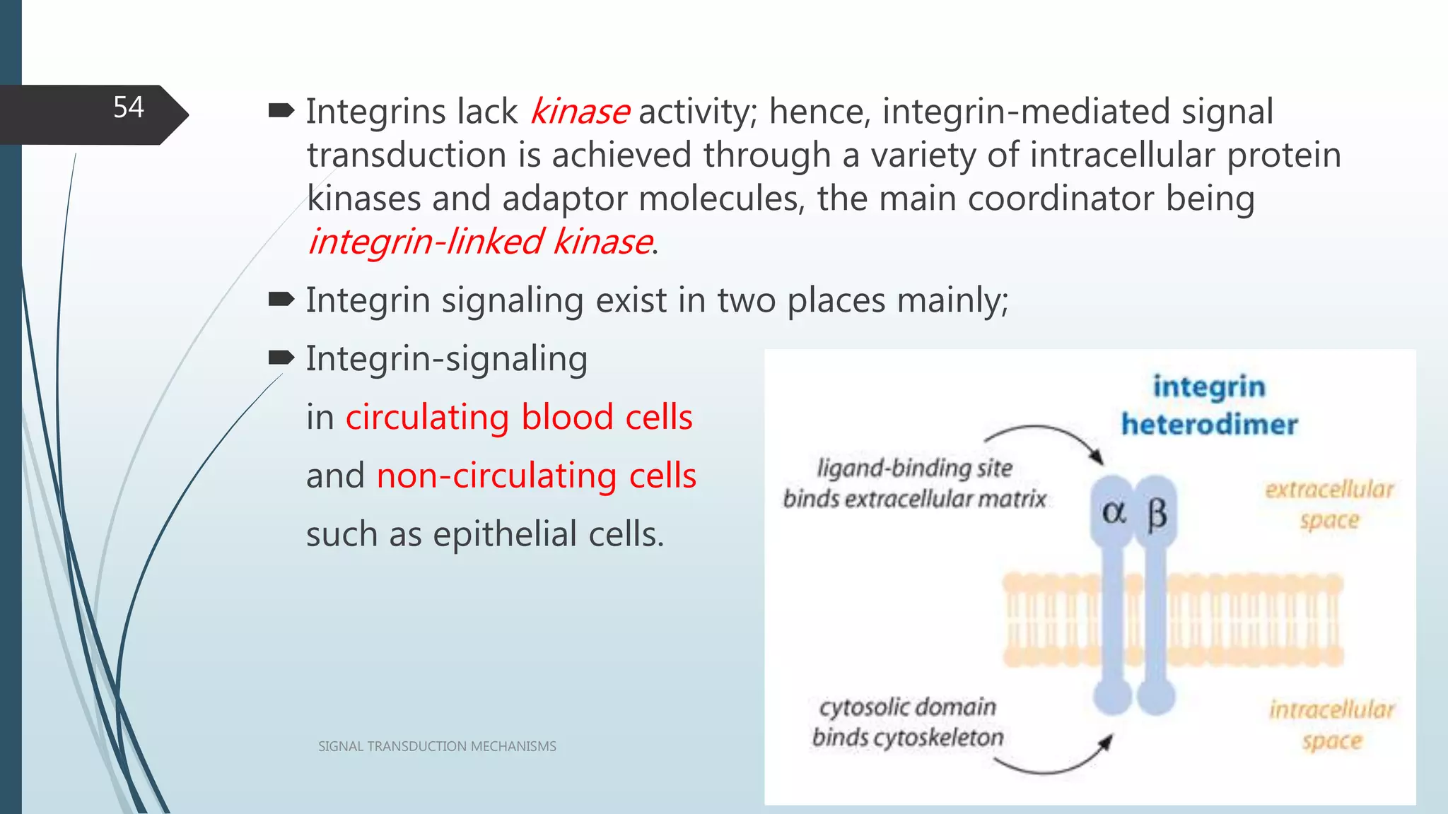  Integrins lack kinase activity; hence, integrin-mediated signal
transduction is achieved through a variety of intracellular protein
kinases and adaptor molecules, the main coordinator being
integrin-linked kinase.
 Integrin signaling exist in two places mainly;
 Integrin-signaling
in circulating blood cells
and non-circulating cells
such as epithelial cells.
1/19/2016SIGNAL TRANSDUCTION MECHANISMS
54
 