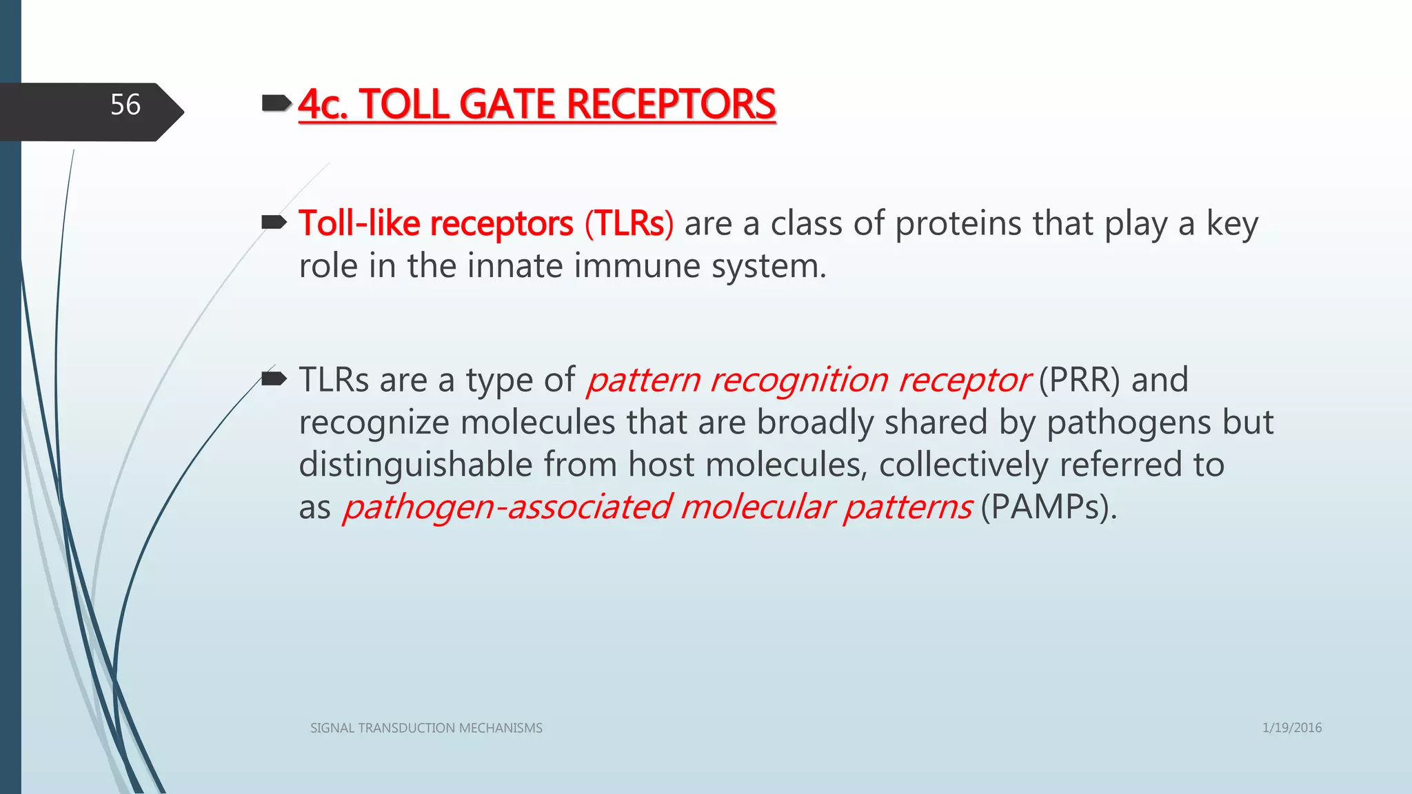 4c. TOLL GATE RECEPTORS
 Toll-like receptors (TLRs) are a class of proteins that play a key
role in the innate immune system.
 TLRs are a type of pattern recognition receptor (PRR) and
recognize molecules that are broadly shared by pathogens but
distinguishable from host molecules, collectively referred to
as pathogen-associated molecular patterns (PAMPs).
1/19/2016SIGNAL TRANSDUCTION MECHANISMS
56
 