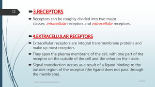3.RECEPTORS
 Receptors can be roughly divided into two major
classes: intracellular receptors and extracellular receptors.
4.EXTRACELLULAR RECEPTORS
 Extracellular receptors are integral transmembrane proteins and
make up most receptors.
 They span the plasma membrane of the cell, with one part of the
receptor on the outside of the cell and the other on the inside.
 Signal transduction occurs as a result of a ligand binding to the
outside region of the receptor (the ligand does not pass through
the membrane).
1/19/2016
SIGNAL TRANSDUCTION MECHANISMS
12
 