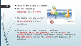  There are two classes of G proteins.
 The first function as
monomeric small GTPases,
 The second form and function
as heterotrimeric G protein
complexes.
 Heterotrimeric class of complexes is made up
of alpha (α), beta (β) and gamma (γ) subunits. The beta and
gamma subunits can form a stable dimeric complex referred to as
the beta-gamma complex while alpha subunit dissociates on
activation.
1/19/2016SIGNAL TRANSDUCTION MECHANISMS
18
 
