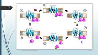 1/19/2016SIGNAL TRANSDUCTION MECHANISMS
21
 