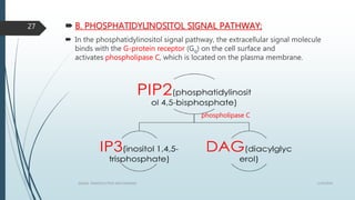  B. PHOSPHATIDYLINOSITOL SIGNAL PATHWAY;
 In the phosphatidylinositol signal pathway, the extracellular signal molecule
binds with the G-protein receptor (Gq) on the cell surface and
activates phospholipase C, which is located on the plasma membrane.
1/19/2016SIGNAL TRANSDUCTION MECHANISMS
27
phospholipase C
 