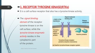 1. RECEPTOR TYROSINE KINASE(RTKs)
 It is a cell surface receptor that also has a tyrosine kinase activity.
 The signal binding
domain of the receptor
tyrosine kinase is on the
cell surface, while the
tyrosine kinase enzymatic
activity resides in the
cytoplasmic part
of the protein.
1/19/2016SIGNAL TRANSDUCTION MECHANISMS
36
 