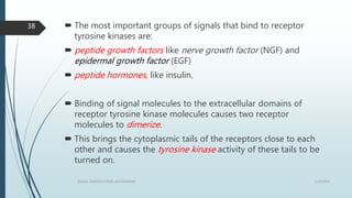  The most important groups of signals that bind to receptor
tyrosine kinases are:
 peptide growth factors like nerve growth factor (NGF) and
epidermal growth factor (EGF)
 peptide hormones, like insulin.
 Binding of signal molecules to the extracellular domains of
receptor tyrosine kinase molecules causes two receptor
molecules to dimerize.
 This brings the cytoplasmic tails of the receptors close to each
other and causes the tyrosine kinase activity of these tails to be
turned on.
1/19/2016SIGNAL TRANSDUCTION MECHANISMS
38
 