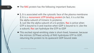  The RAS protein has the following important features:
 1. It is associated with the cytosolic face of the plasma membrane
2. It is a monomeric GTP-binding protein (in fact, it is a lot like
the alpha subunit of trimeric G-proteins).
3. Just like the alpha subunit of a G-protein, Ras is active when
GTP is bound to it and inactive when GDP is bound to it. Like the
a subunit, Ras can hydrolyze the GTP to GDP
 This excited signal-emitting state is short-lived, however, because
the intrinsic (GTPase) activity of RAS hydrolyzes GTP to GDP,
returning the protein to its quiescent GDP-bound state
1/19/2016SIGNAL TRANSDUCTION MECHANISMS
42
 