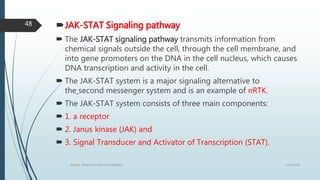 JAK-STAT Signaling pathway
 The JAK-STAT signaling pathway transmits information from
chemical signals outside the cell, through the cell membrane, and
into gene promoters on the DNA in the cell nucleus, which causes
DNA transcription and activity in the cell.
 The JAK-STAT system is a major signaling alternative to
the second messenger system and is an example of nRTK.
 The JAK-STAT system consists of three main components:
 1. a receptor
 2. Janus kinase (JAK) and
 3. Signal Transducer and Activator of Transcription (STAT).
1/19/2016SIGNAL TRANSDUCTION MECHANISMS
48
 