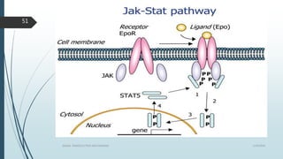 1/19/2016SIGNAL TRANSDUCTION MECHANISMS
51
 