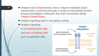  Integrins lack kinase activity; hence, integrin-mediated signal
transduction is achieved through a variety of intracellular protein
kinases and adaptor molecules, the main coordinator being
integrin-linked kinase.
 Integrin signaling exist in two places mainly;
 Integrin-signaling
in circulating blood cells
and non-circulating cells
such as epithelial cells.
1/19/2016SIGNAL TRANSDUCTION MECHANISMS
54
 