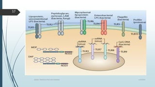 1/19/2016SIGNAL TRANSDUCTION MECHANISMS
57
 