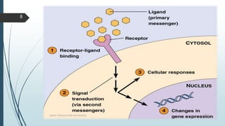 1/19/2016SIGNAL TRANSDUCTION MECHANISMS
8
 