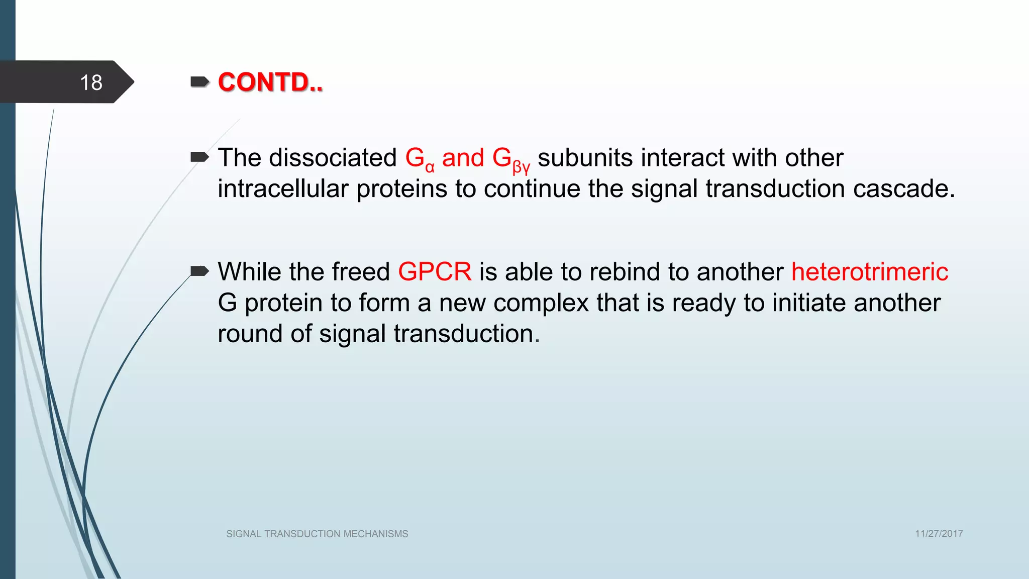  CONTD..
 The dissociated Gα and Gβγ subunits interact with other
intracellular proteins to continue the signal transduction cascade.
 While the freed GPCR is able to rebind to another heterotrimeric
G protein to form a new complex that is ready to initiate another
round of signal transduction.
11/27/2017SIGNAL TRANSDUCTION MECHANISMS
18
 