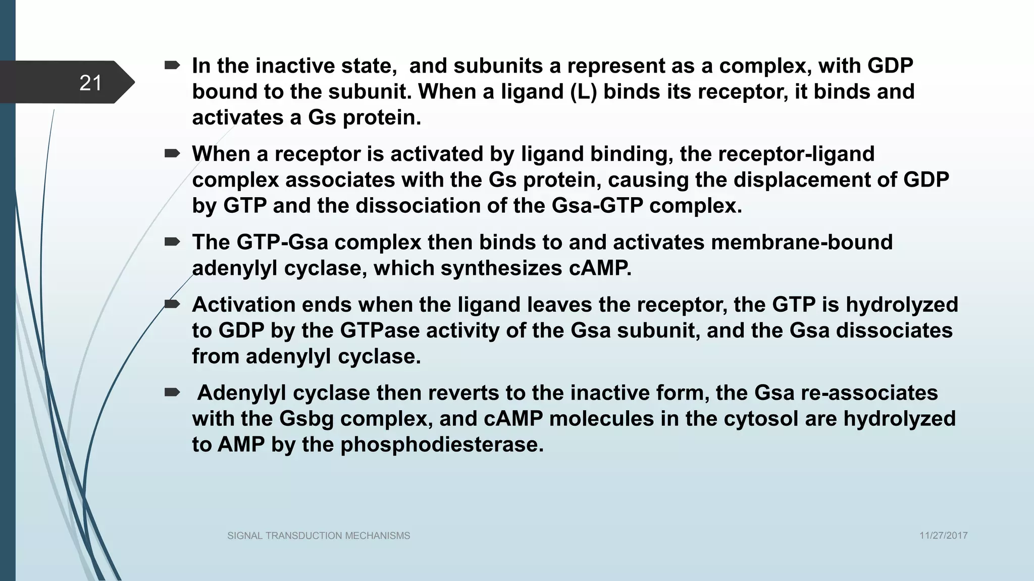11/27/2017SIGNAL TRANSDUCTION MECHANISMS
21
 In the inactive state, and subunits a represent as a complex, with GDP
bound to the subunit. When a ligand (L) binds its receptor, it binds and
activates a Gs protein.
 When a receptor is activated by ligand binding, the receptor-ligand
complex associates with the Gs protein, causing the displacement of GDP
by GTP and the dissociation of the Gsa-GTP complex.
 The GTP-Gsa complex then binds to and activates membrane-bound
adenylyl cyclase, which synthesizes cAMP.
 Activation ends when the ligand leaves the receptor, the GTP is hydrolyzed
to GDP by the GTPase activity of the Gsa subunit, and the Gsa dissociates
from adenylyl cyclase.
 Adenylyl cyclase then reverts to the inactive form, the Gsa re-associates
with the Gsbg complex, and cAMP molecules in the cytosol are hydrolyzed
to AMP by the phosphodiesterase.
 