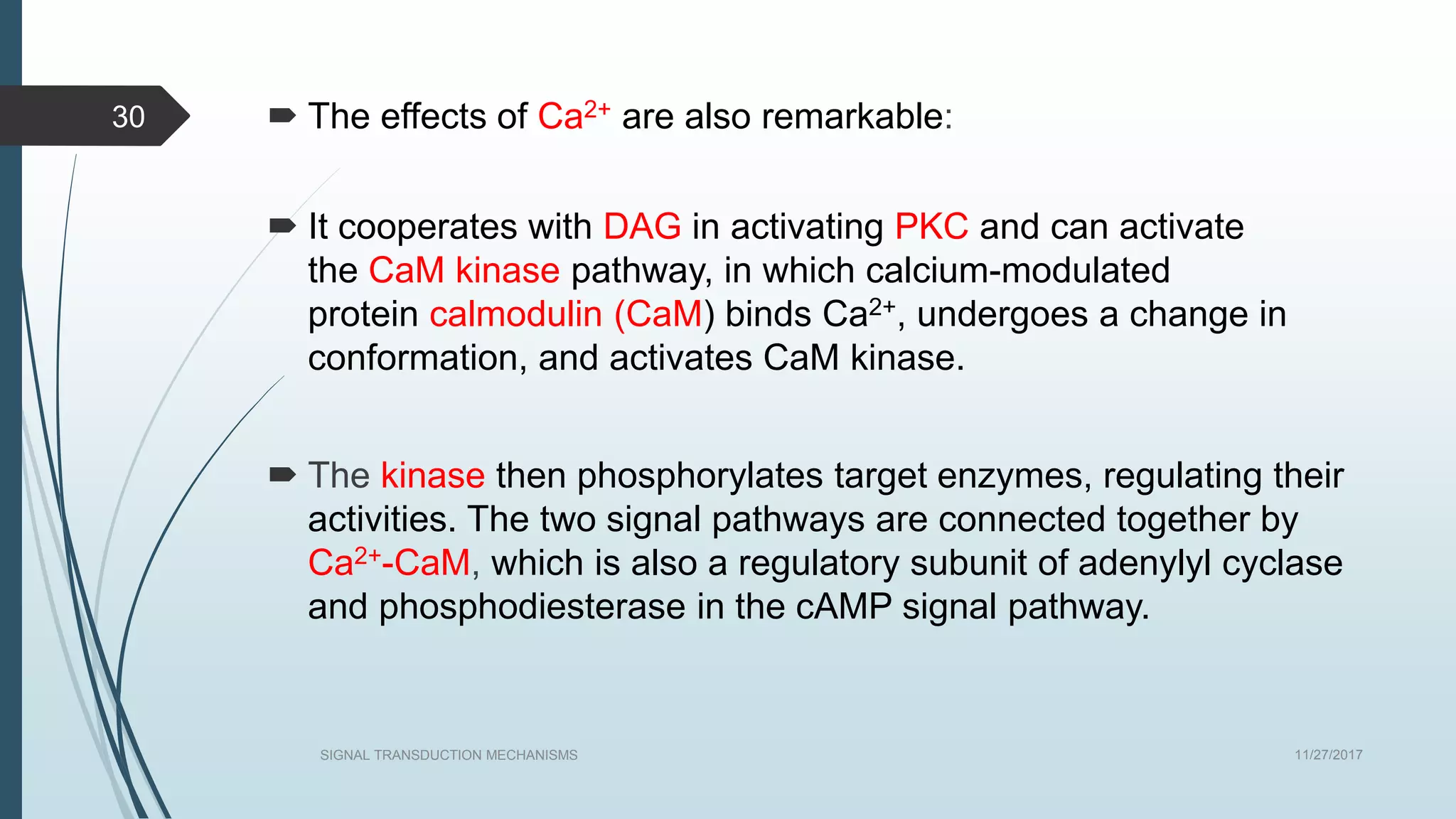  The effects of Ca2+ are also remarkable:
 It cooperates with DAG in activating PKC and can activate
the CaM kinase pathway, in which calcium-modulated
protein calmodulin (CaM) binds Ca2+, undergoes a change in
conformation, and activates CaM kinase.
 The kinase then phosphorylates target enzymes, regulating their
activities. The two signal pathways are connected together by
Ca2+-CaM, which is also a regulatory subunit of adenylyl cyclase
and phosphodiesterase in the cAMP signal pathway.
11/27/2017SIGNAL TRANSDUCTION MECHANISMS
30
 