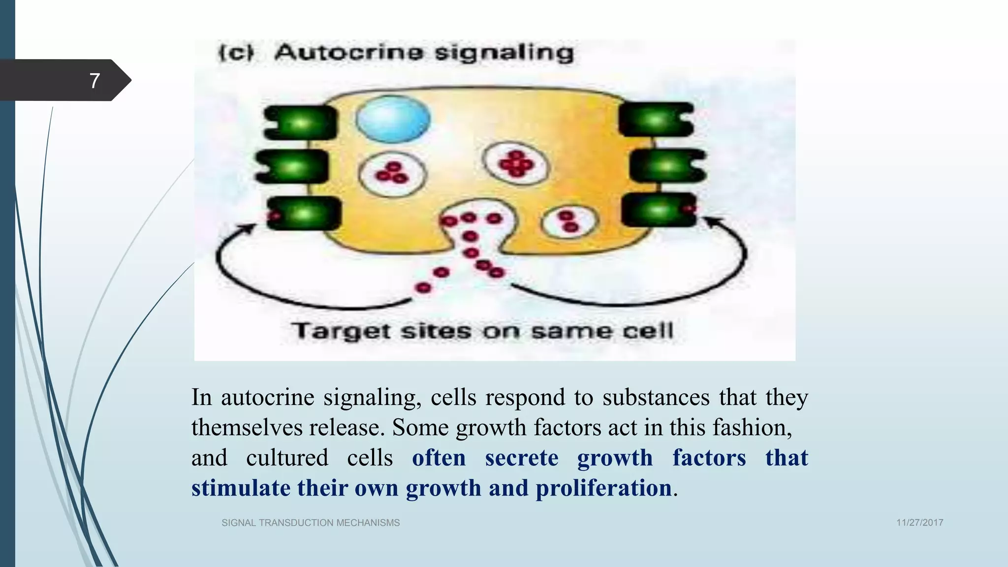 11/27/2017SIGNAL TRANSDUCTION MECHANISMS
7
In autocrine signaling, cells respond to substances that they
themselves release. Some growth factors act in this fashion,
and cultured cells often secrete growth factors that
stimulate their own growth and proliferation.
 