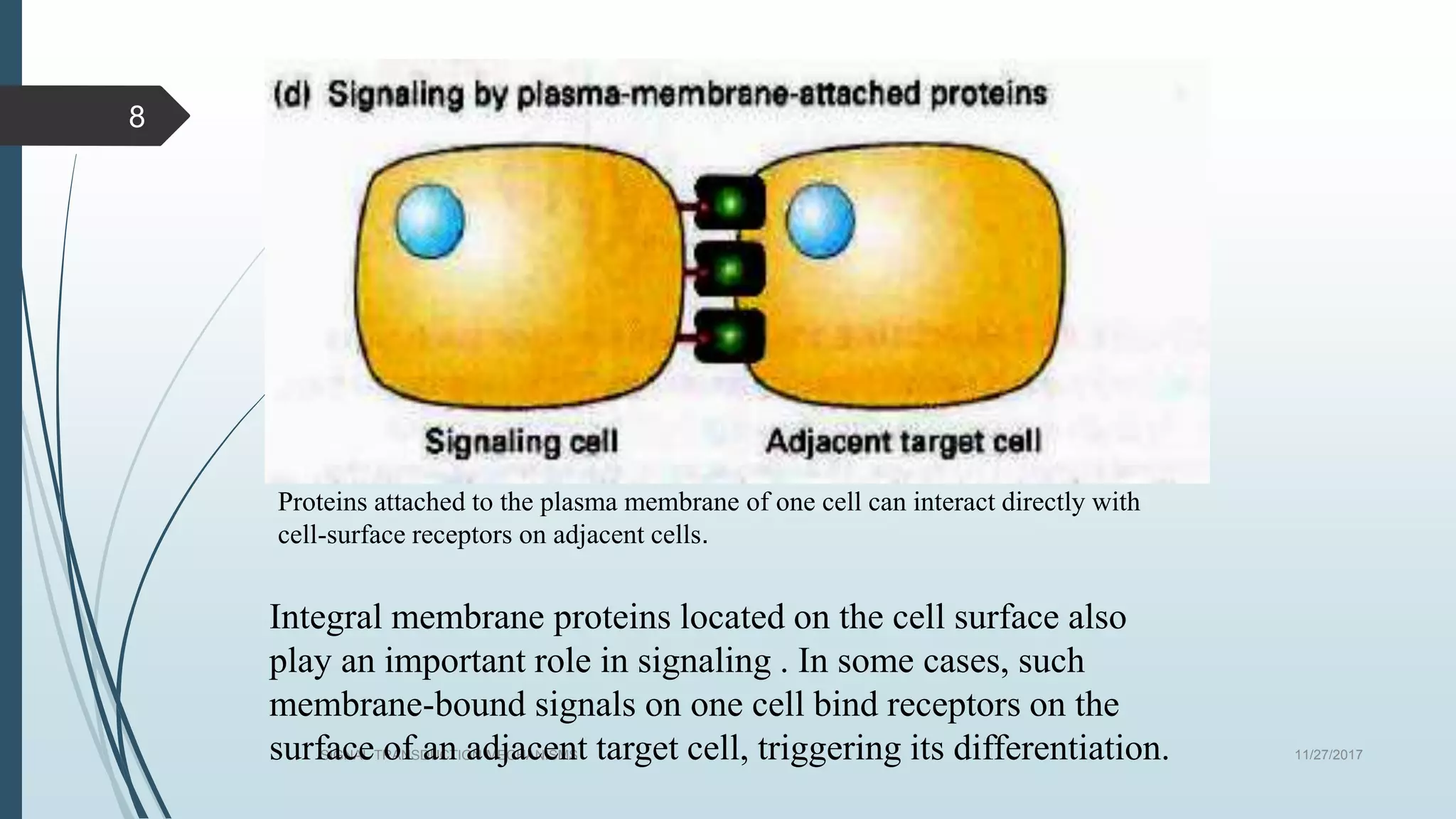 11/27/2017SIGNAL TRANSDUCTION MECHANISMS
8
Integral membrane proteins located on the cell surface also
play an important role in signaling . In some cases, such
membrane-bound signals on one cell bind receptors on the
surface of an adjacent target cell, triggering its differentiation.
Proteins attached to the plasma membrane of one cell can interact directly with
cell-surface receptors on adjacent cells.
 