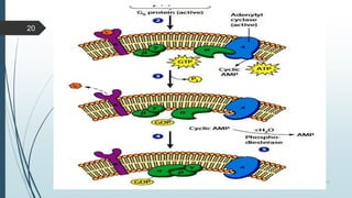 Signal transduction mechanism | PPTX
