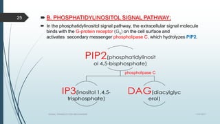 Pip2 Signal Signal transduction mechanism | PPTX