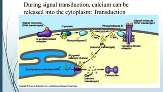 Signal transduction mechanism | PPTX