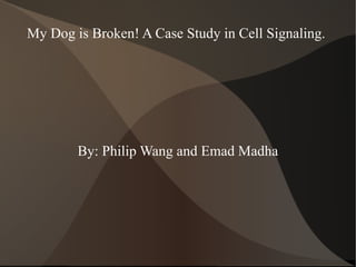 My Dog is Broken! A Case Study in Cell Signaling.  By: Philip Wang and Emad Madha 