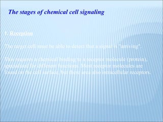 The stages of chemical cell signaling 1.  Reception The target cell must be able to detect that a signal is "arriving".  This requires a chemical binding to a receptor molecule (protein), specialized for different functions. Most receptor molecules are found on the cell surface, but there area also intracellular receptors. 