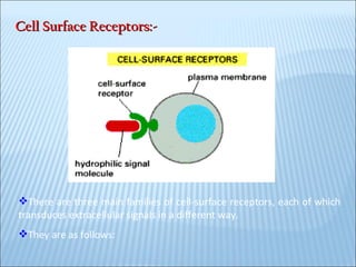 Cell Surface Receptors:- There are three main families of cell-surface receptors, each of which transduces extracellular signals in a different way. They are as follows: 