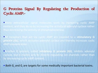 G Proteins Signal By Regulating the Production of Cyclic AMP:- Many extracellular signal molecules work by increasing cyclic AMP content, and they do so by increasing the activity of adenylyl cyclase rather than decreasing the activity of phosphodiesterase.  All receptors that act via cyclic AMP are coupled to a  stimulatory G protein (Gs) , which activates adenylyl cyclase and thereby increases cyclic AMP concentration.  Another G protein, called  inhibitory G protein (Gi) , inhibits adenylyl cyclase, but it mainly acts by directly regulating ion channels rather than by decreasing cyclic AMP content. Both G s  and G i  are targets for some medically important bacterial toxins.  