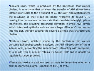 Cholera toxin,  which is produced by the bacterium that causes cholera, is an enzyme that catalyzes the transfer of ADP ribose from intracellular NAD+ to the α subunit of G s . This ADP ribosylation alters the α-subunit so that it can no longer hydrolyze its bound GTP, causing it to remain in an active state that stimulates adenylyl cyclase indefinitely. The resulting prolonged elevation in cyclic AMP levels within intestinal epithelial cells causes a large efflux of Cl -  and water into the gut, thereby causing the severe diarrhea that characterizes cholera.  Pertussis toxin, which is made by the bacterium that causes pertussis (whooping cough), catalyzes the ADP ribosylation of the α subunit of G i , preventing the subunit from interacting with receptors; as a result, this α subunit retains its bound GDP and is unable to regulate its target proteins.  These two toxins are widely used as tools to determine whether a cell's response to a signal is mediated by G s  or by G i . 
